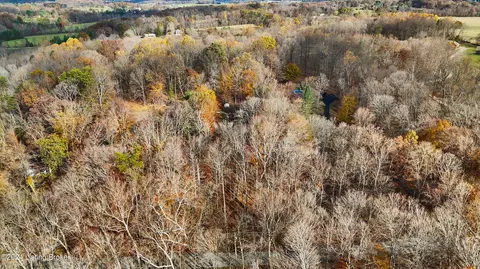 8206 Jersey Park Rd, Floyds Knobs, IN 47119 photo 27