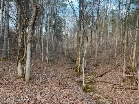 Other - 1180 Pattons Creek Rd, Pendleton, KY 40055 photo 17 of 27