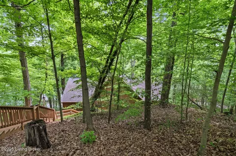 657 Penn Run Rd, Bee Spring, KY 42207 photo 64