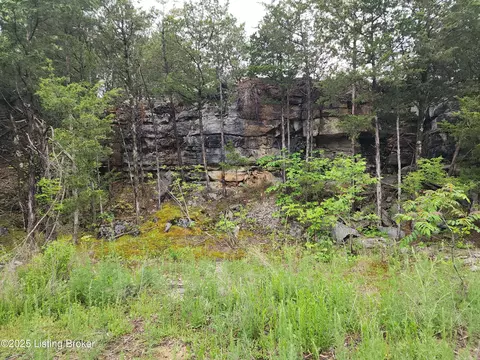 Other - 400 Old Dixie Loop, Upton, KY 42784 photo 28 of 30