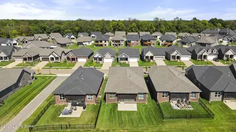 View/Area - 5718 Ruby Falls Dr, Prospect, KY 40059 photo 2 of 6