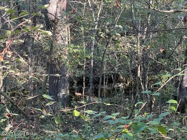 View/Area - 1711 Long Branch Fork Rd, Turners Station, KY 40075 photo 7 of 9