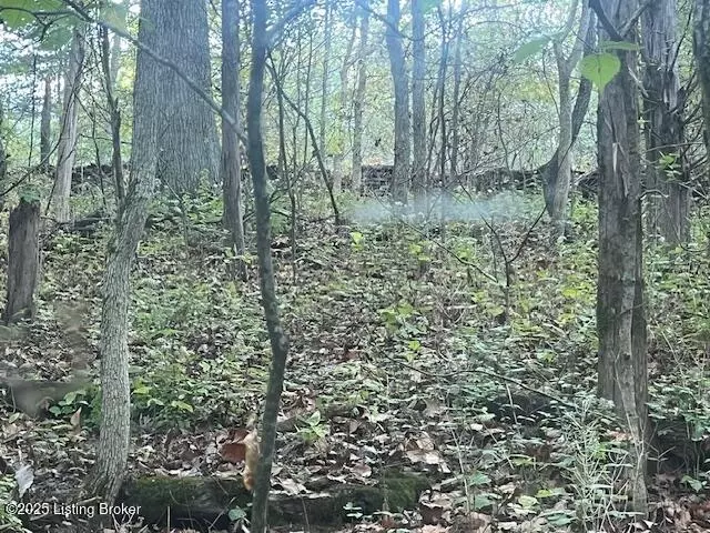 Other - 1711 Long Branch Fork Rd, Turners Station, KY 40075 photo 39 of 41