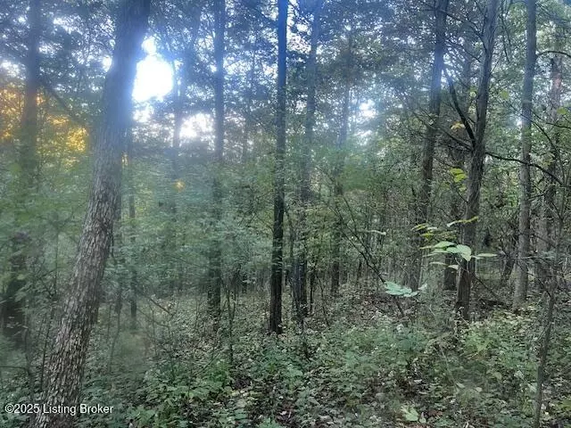 Other - 1711 Long Branch Fork Rd, Turners Station, KY 40075 photo 38 of 41