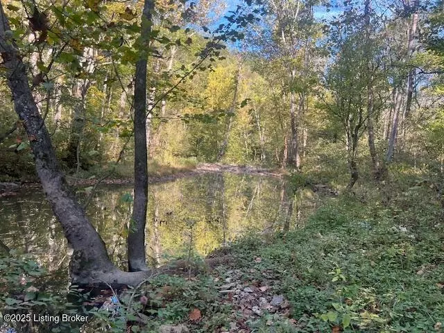 View/Area - 1711 Long Branch Fork Rd, Turners Station, KY 40075 photo 8 of 9