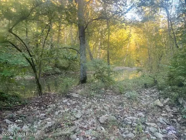 Other - 1711 Long Branch Fork Rd, Turners Station, KY 40075 photo 36 of 41