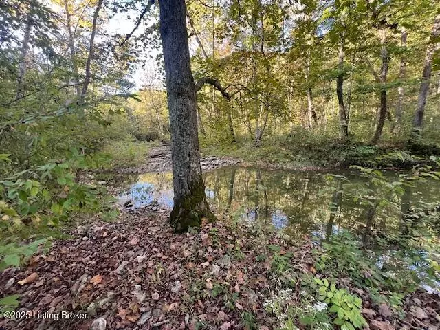 View/Area - 1711 Long Branch Fork Rd, Turners Station, KY 40075 photo 9 of 9