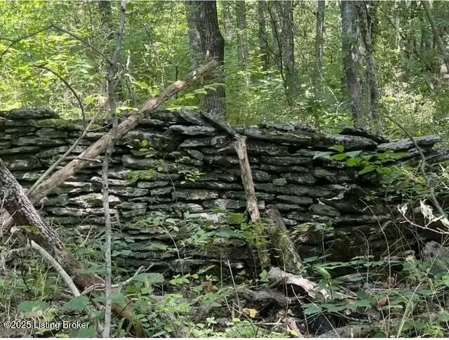 Other - 1711 Long Branch Fork Rd, Turners Station, KY 40075 photo 33 of 41