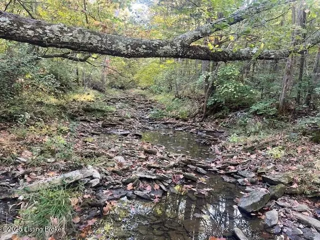 Other - 1711 Long Branch Fork Rd, Turners Station, KY 40075 photo 41 of 41