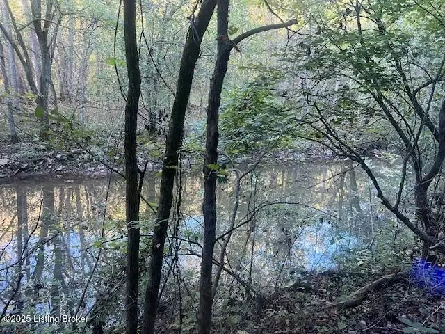 View/Area - 1711 Long Branch Fork Rd, Turners Station, KY 40075 photo 6 of 9