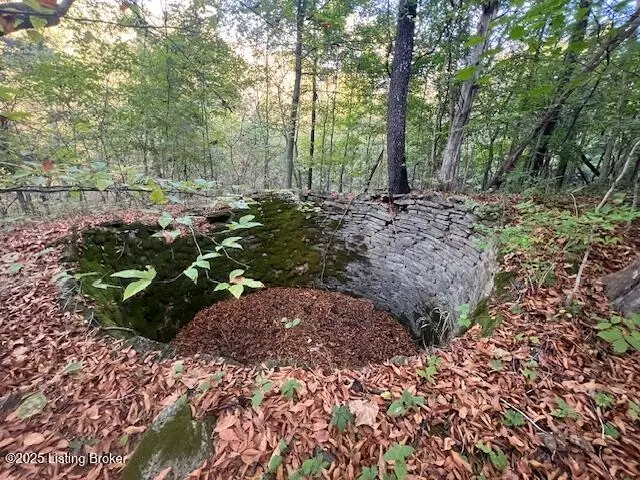 Other - 1711 Long Branch Fork Rd, Turners Station, KY 40075 photo 37 of 41