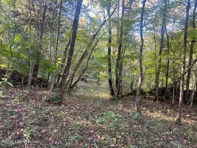 Other - 1711 Long Branch Fork Rd, Turners Station, KY 40075 photo 40 of 41