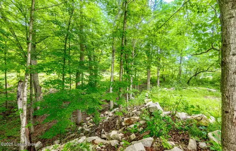 Other - 971 Constantine Rd, Cecilia, KY 42724 photo 20 of 28