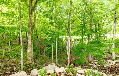 Exterior - 971 Constantine Rd, Cecilia, KY 42724 photo 7 of 8