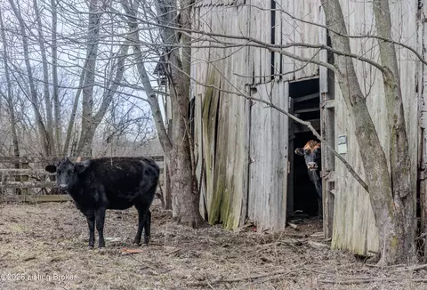 Other - 2942 N Pendleton Rd, Pendleton, KY 40055 photo 38 of 42