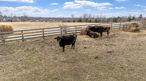 Other - 2942 N Pendleton Rd, Pendleton, KY 40055 photo 36 of 42