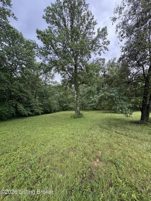 105 John Morris Rd, Custer, KY 40115 photo 16