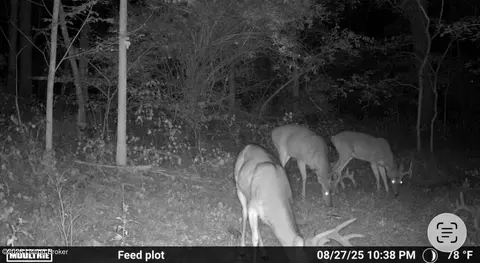 Other - 116 Wolfwood Cir, Pendleton, KY 40055 photo 12 of 13