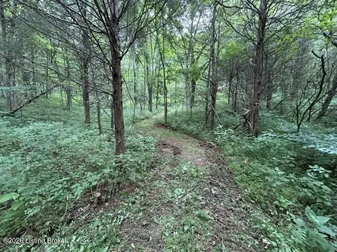 Other - 975 Long Run Rd, Springfield, KY 40069 photo 28 of 32