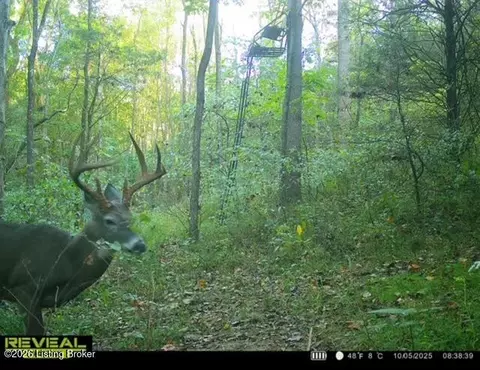 Other - 975 Long Run Rd, Springfield, KY 40069 photo 31 of 32