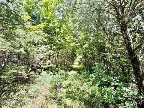 975 Long Run Rd, Springfield, KY 40069 photo 47