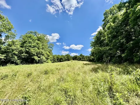 975 Long Run Rd, Springfield, KY 40069 photo 41