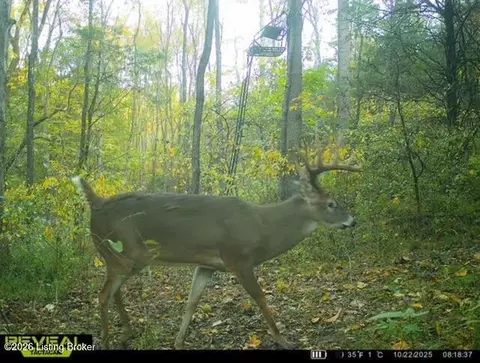 Other - 975 Long Run Rd, Springfield, KY 40069 photo 30 of 32