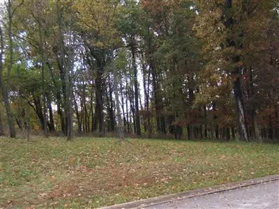 132 Winding View Trl, Georgetown, KY 40324 photo 2