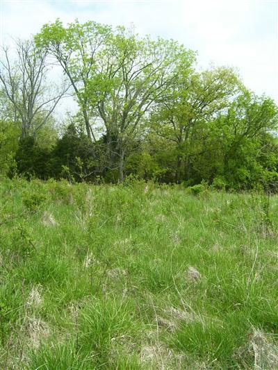 125 Forest Path, Georgetown, KY 40324 photo 17