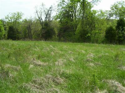 125 Forest Path, Georgetown, KY 40324 photo 12
