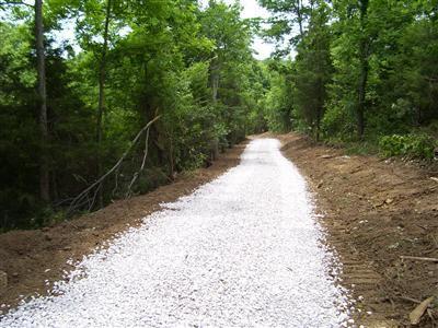 125 Forest Path, Georgetown, KY 40324 photo 5