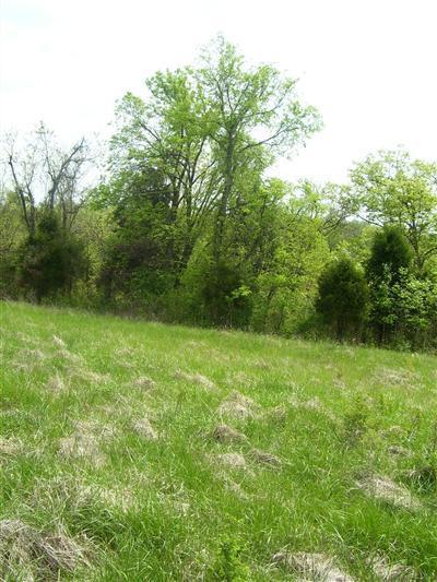 125 Forest Path, Georgetown, KY 40324 photo 14