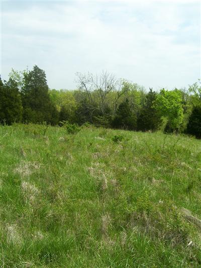125 Forest Path, Georgetown, KY 40324 photo 13