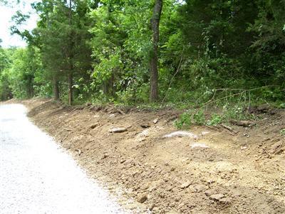 125 Forest Path, Georgetown, KY 40324 photo 6