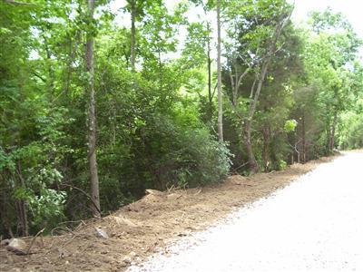 125 Forest Path, Georgetown, KY 40324 photo 7