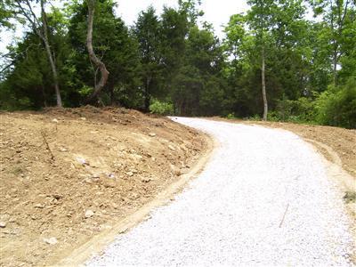 125 Forest Path, Georgetown, KY 40324 photo 10