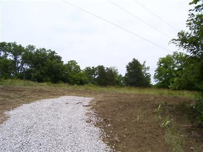 125 Forest Path, Georgetown, KY 40324 photo 3