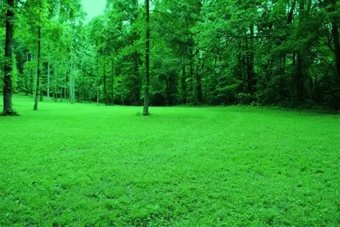 376 Ike Monhollen Rd, Corbin, KY 40701 photo 41
