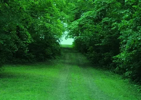 376 Ike Monhollen Rd, Corbin, KY 40701 photo 22