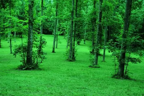 376 Ike Monhollen Rd, Corbin, KY 40701 photo 33