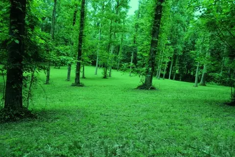 376 Ike Monhollen Rd, Corbin, KY 40701 photo 35