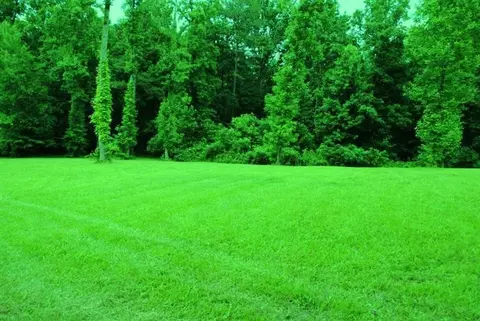 376 Ike Monhollen Rd, Corbin, KY 40701 photo 17