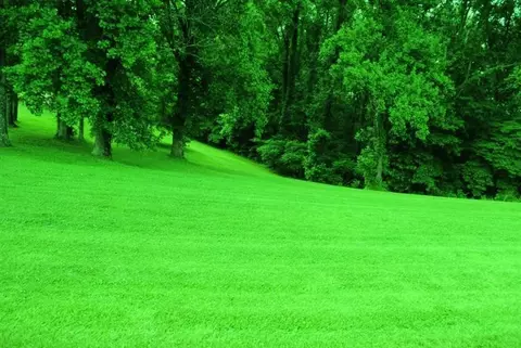 376 Ike Monhollen Rd, Corbin, KY 40701 photo 7