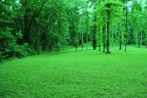 376 Ike Monhollen Rd, Corbin, KY 40701 photo 38