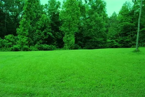 376 Ike Monhollen Rd, Corbin, KY 40701 photo 16