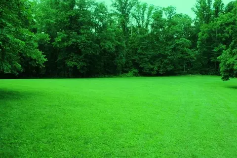 376 Ike Monhollen Rd, Corbin, KY 40701 photo 18