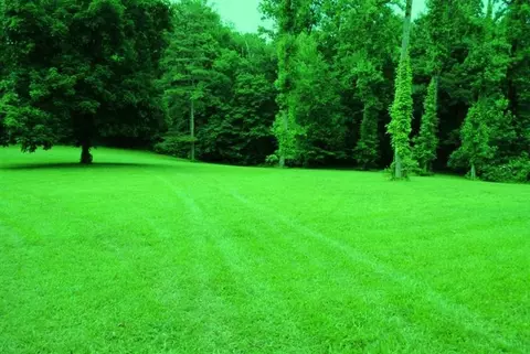 376 Ike Monhollen Rd, Corbin, KY 40701 photo 20