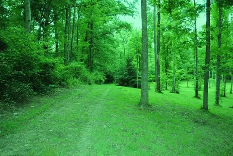 376 Ike Monhollen Rd, Corbin, KY 40701 photo 29