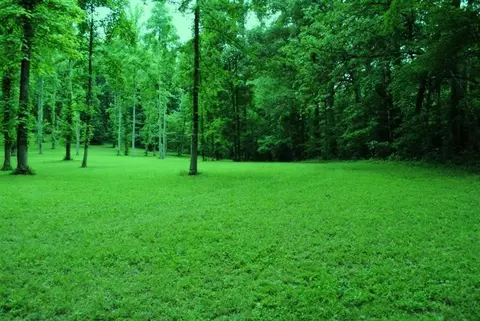 376 Ike Monhollen Rd, Corbin, KY 40701 photo 40