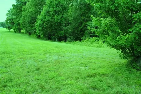 376 Ike Monhollen Rd, Corbin, KY 40701 photo 2